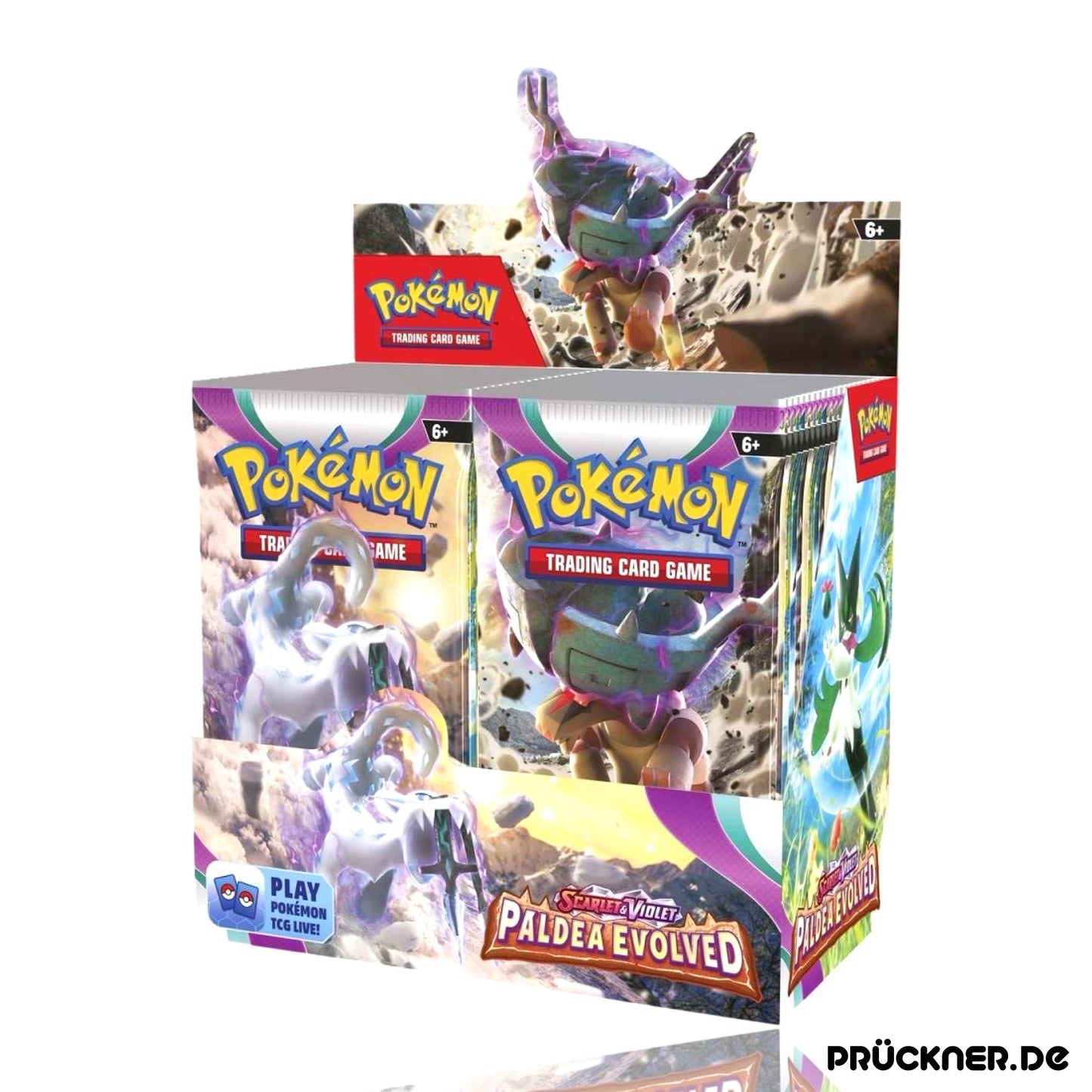 Pokémon Scarlet & Violet Paldea Evolved Display #EN